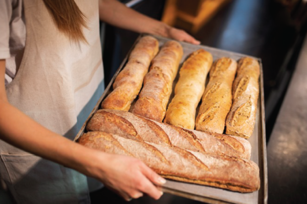 bannere-TENDINTEE-PANIFICATIE-AA