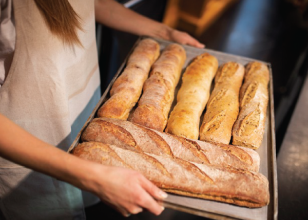 bannere-TENDINTEE-PANIFICATIE-AA